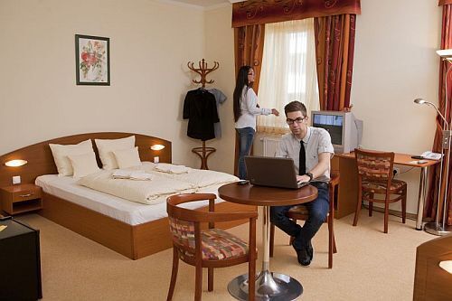 Madnarin Hotel - spacious famaily apartments in Mandarin Hotel Sopron