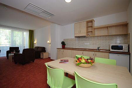 Hotel Beke Hajduszoboszlo - apartment with kitchen at affordable price